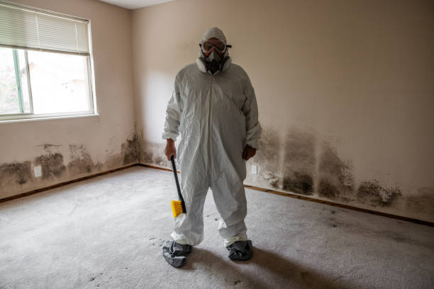Best Industrial Mold Remediation in Oakland, IA